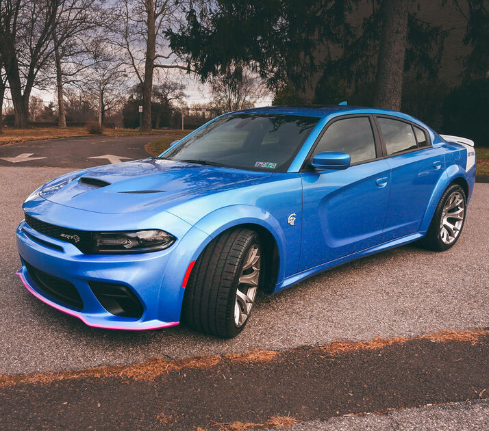 Front Bumper Lip Splitter Guard (7)