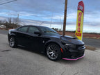 Front Bumper Lip Splitter Guard (3)