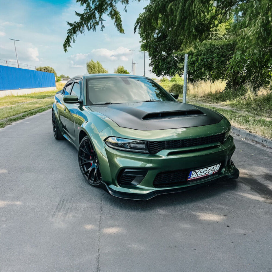 Aluminum Hood (3)