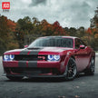 RGB Headlights + LED Bulbs (8)