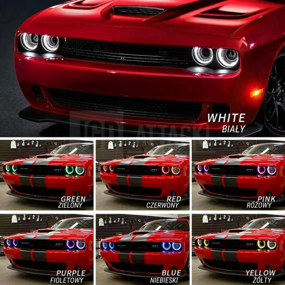 RGB Headlights + LED Bulbs (9)