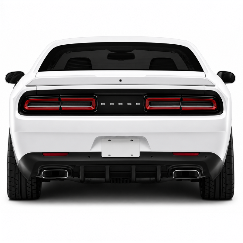 Rear Diffuser Cover Panel (6)