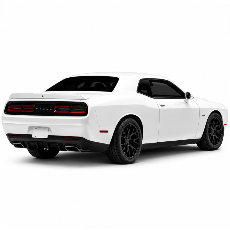 Rear Diffuser Cover Panel (9)