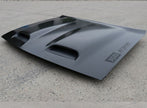 Aluminum Hood (8)