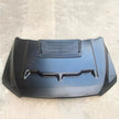 Steel Hood – Shelby Baja Edition (F150 15-20) (11)