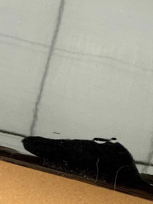 OUTLET Rear Spoiler (5)