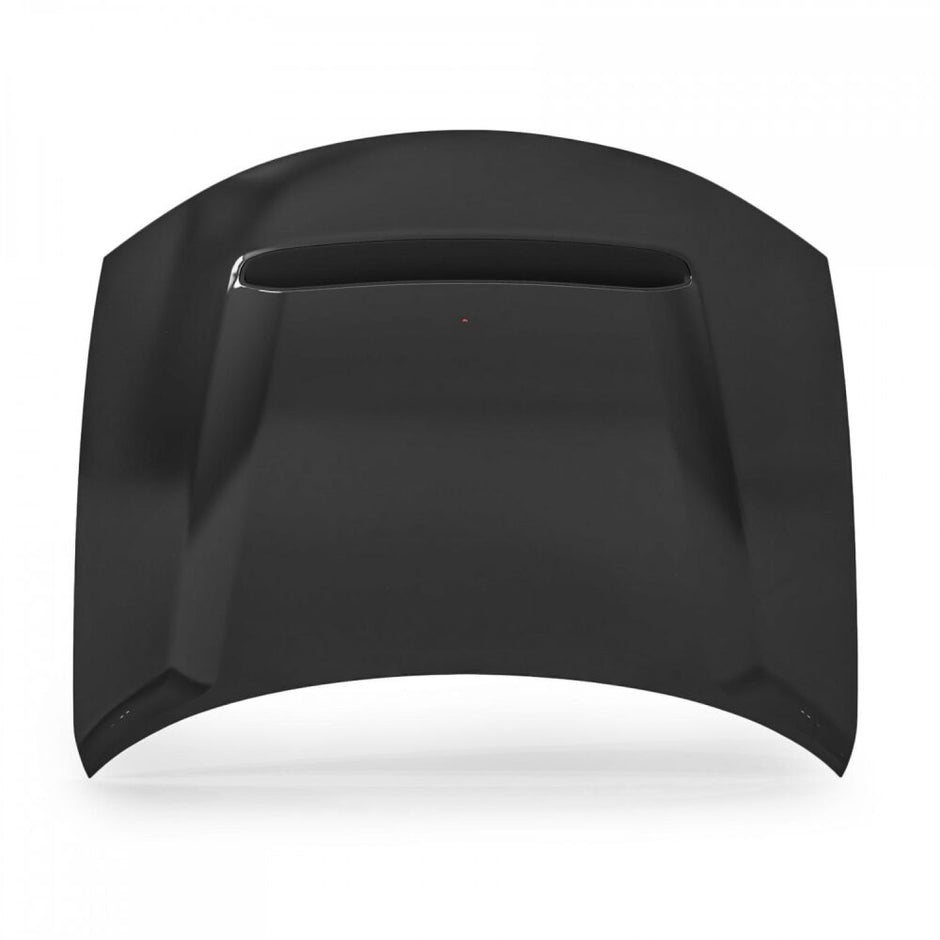 Aluminum Hood (6)