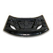 Aluminum Hood (4)