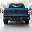 LED Tailgate Applique (5)