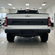 LED Tailgate Applique (3)