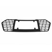 Small License Plate Adapter / Frame (4)