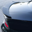 Rear Spoiler (8)