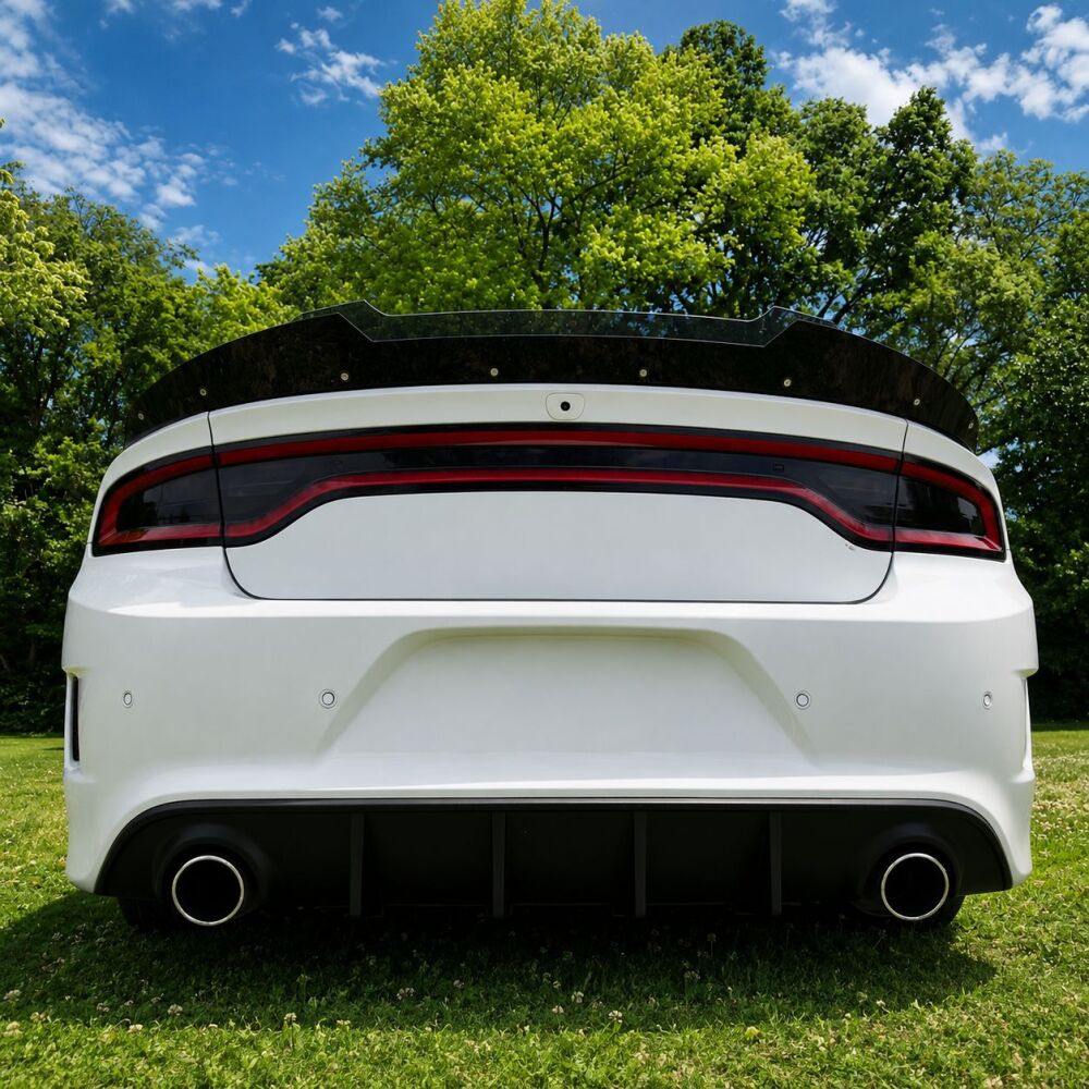Wicker Bill for the SRT Spoiler (CHARGER 15-23) (7)