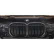 Njurgrill i pre-preg carbon för BMW X7 G07 2020–2023