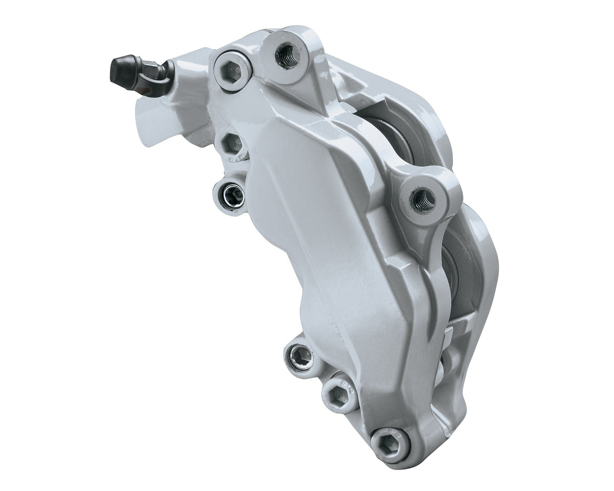 Bromsoksfärg - Nardo Gray (Complete Kit)