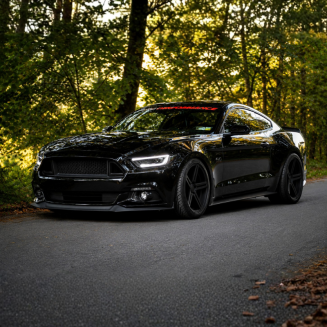 Övre grill – RTR Style – Ford Mustang 2015-2017 Ecoboost, V6, GT – bild 5