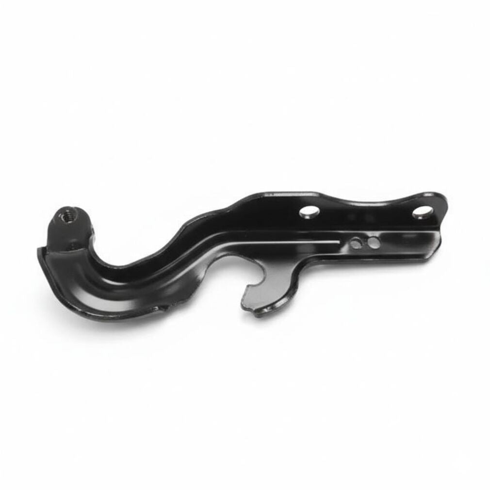 55369563AE Hood Hinge