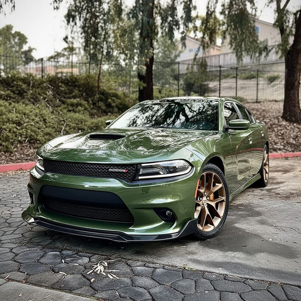 Chin Spoiler
