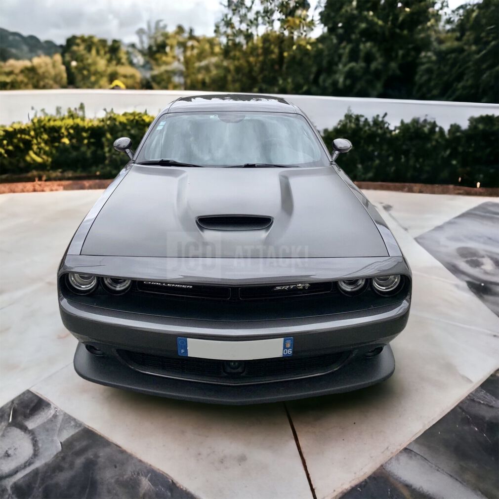 Aluminum Hood