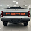 LED Tailgate Applique