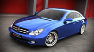Frontläpp för Mercedes CLS C219 Standard Bumper