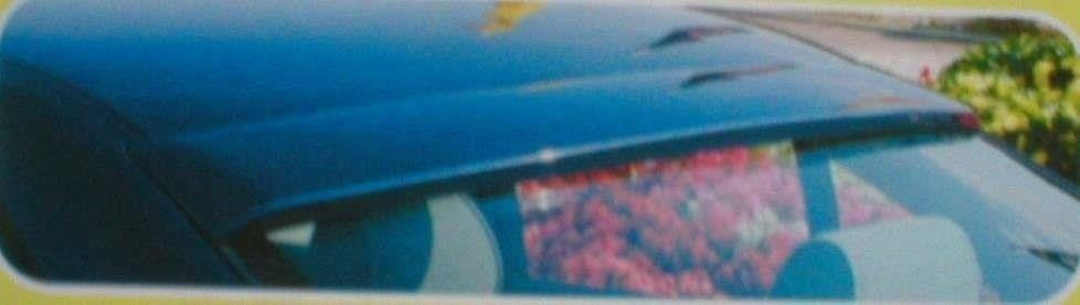 Maxton Design Bakrutespoiler – BMW 5 E39